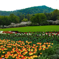 ���ݵ�ӣ��