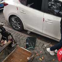 �ҳ�͵������ˮ�幫԰ͣ����