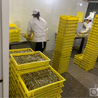 ����̫������лл��ҵ�֧�֡���������ȯһ��100�ţ�����̨��