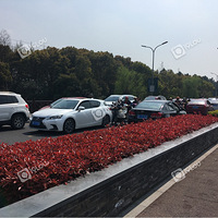 ��ҵ�andֲ��԰���˶೵�࣡�¶¶¶£�