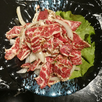 ����������㳡   ���ǿ���