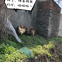 �Ҽҵ��������������