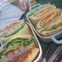 ����������Ұ��