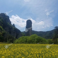 �ɶ� ��ʯͷ��