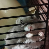 ���ǼҵĲ������Ҷ�����