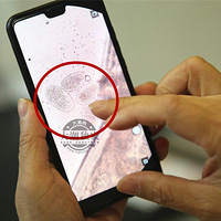 ���裡���ڿ�ʳ���ӣ�����С�����ھ�����ⶫ���������µ���..