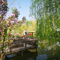 Ұ����ȥ��