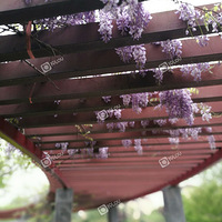 ��һ���ͻ���