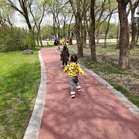 ������һ��ȥ���Ρ��Ϻ�������