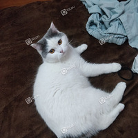 ������     Ϊ�Ҽ�С�װ��Ҹ�������o(�Rv�Q)o