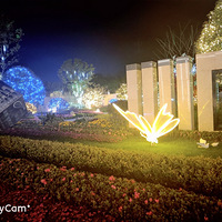 ƽ���̹�԰ε�������˾�Ȼ��������,ʵ���������Խ��ܣ�