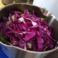 ��ʼ��������ˣ�����