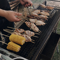 ����ԳԺȺ����棬����