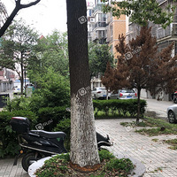 ��˶���ȱ��֮С�ˣ����Թ�γ�Ҫ��������������!!!!