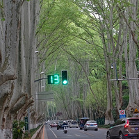 �Ͼ���Т��