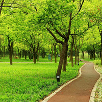 �������أ��Ϻ������̣���ͥ�Ų��Σ����ִ�������