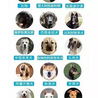 ���˷���ʷ��������Ȯ����������һ��ֻ����һ������������Ȯ��