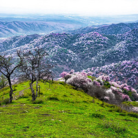 �½�(3) �������ӻ�~~~