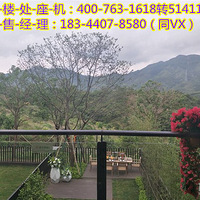 �����ݴ����塿�Ǻ�ɽ���뵺�������ٷ�����ӭ��