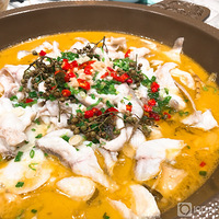 Ư���ǽ������Գ�