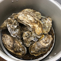 �����ѹ�������Ȱ�����ǰ�Թ�򺲼˹��ͦ