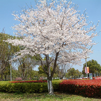 ������ӣ�õط�