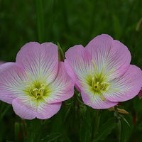 �������ʻ�����������ٳ���Ϻ������ˣ�