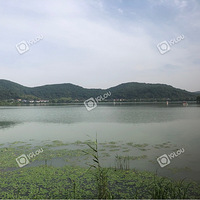 51����ȥ�˼��ˣ��ֲ���լ������Ǹ���ȥ��