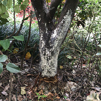 ���ߣ������˸���ô����������