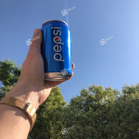 �������ˡ�  ���������