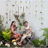 �������ܽ�