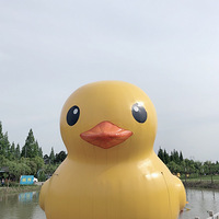 ǴСѼget