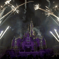 ��������5��11�գ�100ֻ�����ܾ��͹���ȫ�Ǵ�����