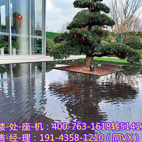 ���ݡ��̳�̫�����¡������������ơ��ٶ�һ�¡���