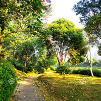 ��ԡ����