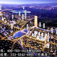 �����ٰ����ζ�����Ϫ������2019����Ϣ�����ȣ�������