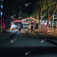 ����ѧԺ�ഺ����Ľ���ʢױ