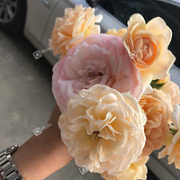 �ü���ûȥ�����ˣ���ɳлĻ����������һ������̸ǣ��������ÿ�