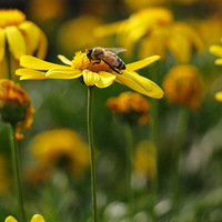 �۷�������ۣ����˾��뱧�ѣ��Ϻ������Ƴ���