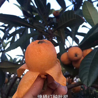 5���������˳��켾���ܱ߻��й���Ͷ�ɽ���Ⱥ���ĵط�