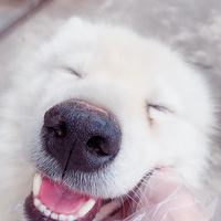 һ�ص��������õ��ؾ���