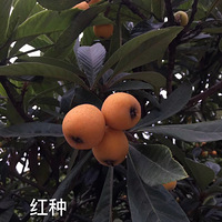 �����������ˣ�����������