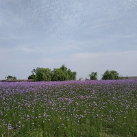 ���������ĵ��羰����