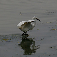 �ʻ��������۷����ۣ�������ʳ���Ϻ��Ƴ���