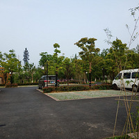 ���µĺ�ɫը��