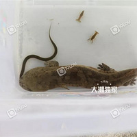 ̫�����ˣ����˴󲮺��ﾹ������ô����һ���ˣ������Σ�