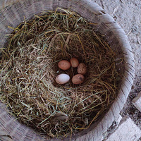 ��¼ũ�����԰����