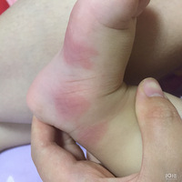 ���ļ����ô���ս��+������ҧ�ɡ������