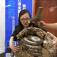 ̫Σ���ˣ��Ϻ������֡����ްԡ������� �߶Ƚ�һ��