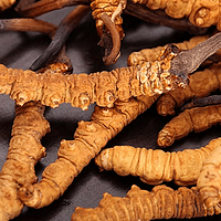 �Ĵ��ɶ���ݼ۸�